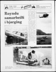 Síða 16