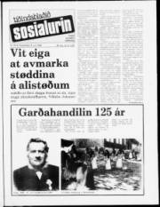 Síða 1