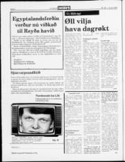 Síða 4