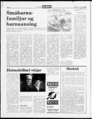 Síða 2