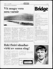 Síða 3