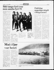 Síða 5