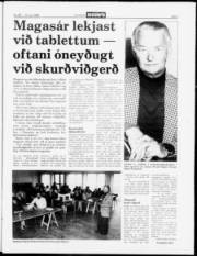 Síða 3