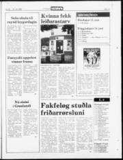 Síða 15