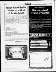 Síða 4