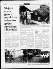 Síða 8