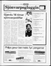 Síða 11