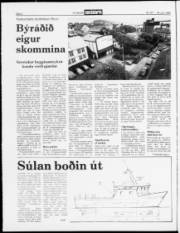 Síða 2