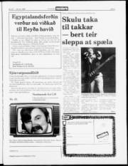 Síða 3