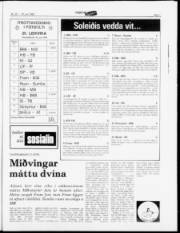 Síða 7
