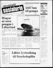 Síða 1