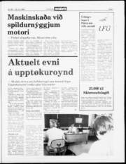 Síða 3