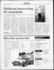 Síða 11