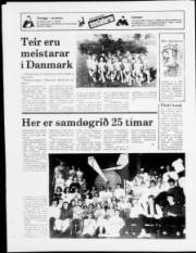 Síða 12
