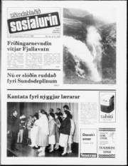 Síða 1