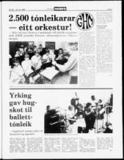 Síða 5