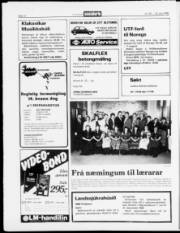 Síða 12