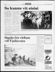 Síða 2