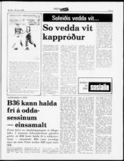 Síða 7