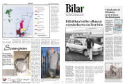 Síða 8