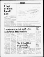 Síða 3
