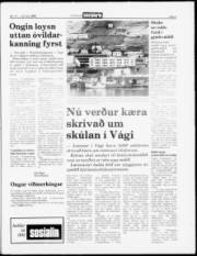 Síða 5