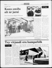 Síða 16