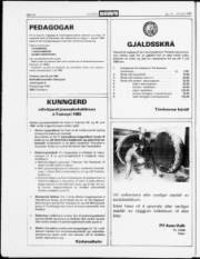 Síða 18