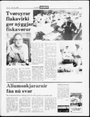 Síða 3