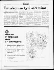 Síða 5