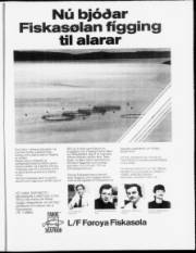 Síða 13
