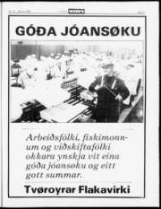 Síða 17