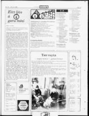 Síða 19