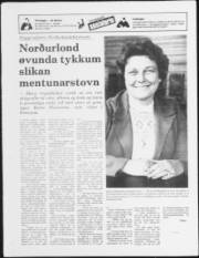 Síða 20