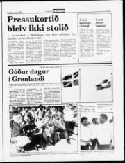 Síða 3