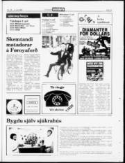 Síða 15
