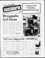 Síða 1