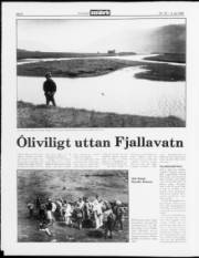 Síða 6
