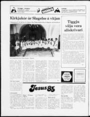Síða 16