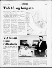 Síða 5