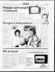Síða 13