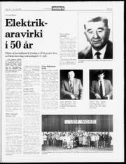 Síða 15