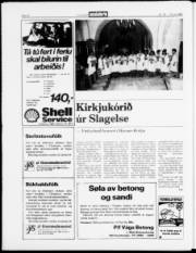 Síða 22