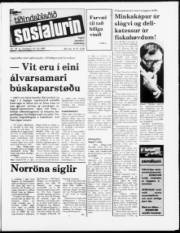 Síða 1