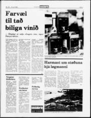 Síða 3