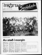 Síða 5