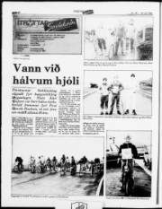 Síða 6