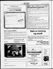 Síða 2