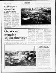 Síða 3