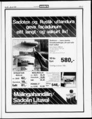 Síða 13